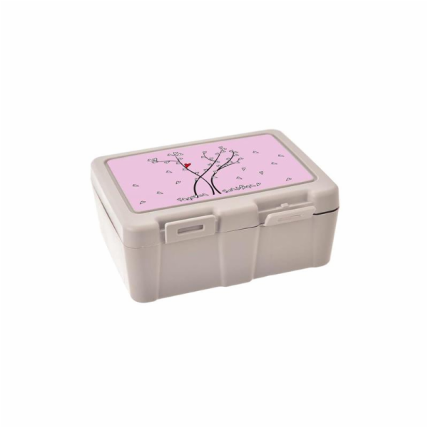 Box na svačinu dělený SRDÍČKA plast
