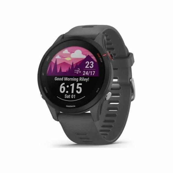 Garmin Forerunner 255 schist/black