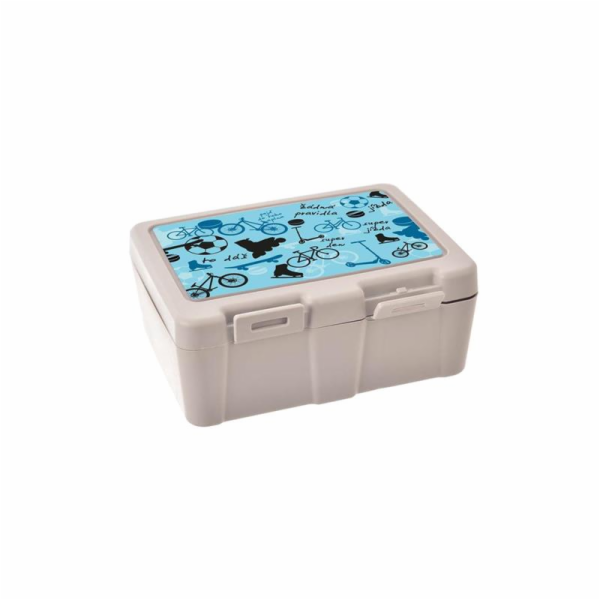 Box na svačinu dělený SPORT plast
