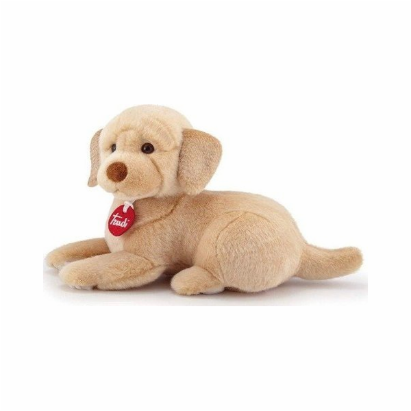 TRUDI LABRADOR LIAM S