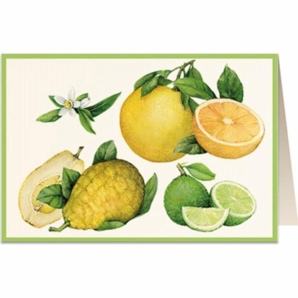 Karta Tassotti B6 + obálka 5851 Citrus
