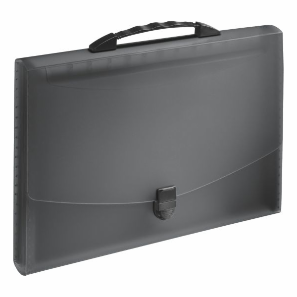 Esselte Folder s přihrádkami a uchem A4 Vivida (10K053A)