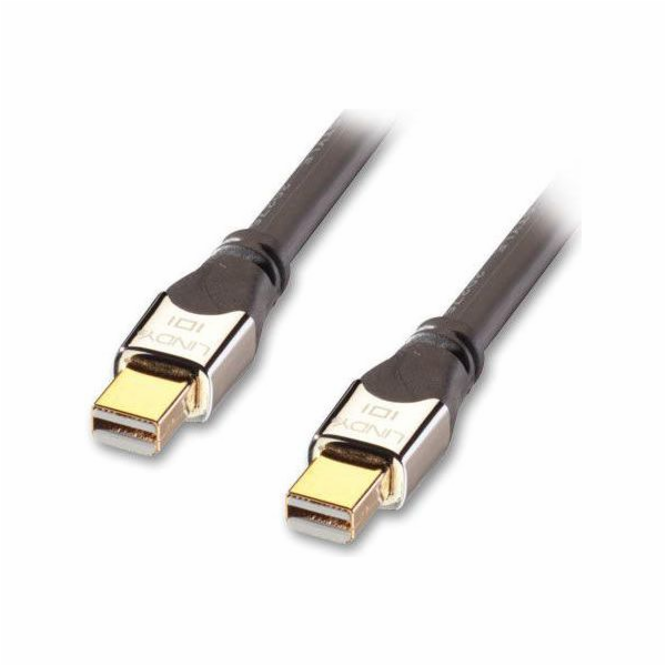 Lindy DisplayPort Mini – DisplayPort Mini kabel 2m stříbr...