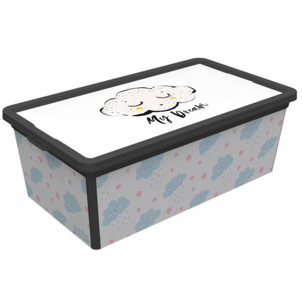 Box úložný CUTE SKY 5 l/19x33,5x11,5 cm s víkem