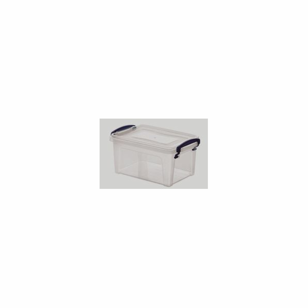 Box Clear 3 l 25x17x11 cm