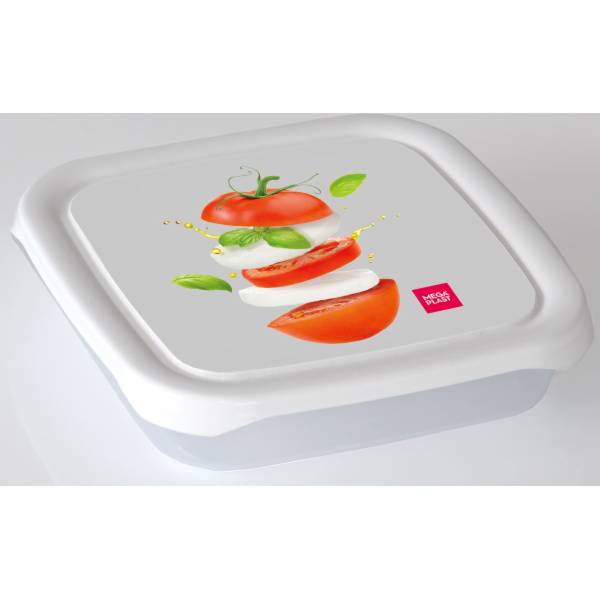 Box jídelní 0,5 l s potiskem plast