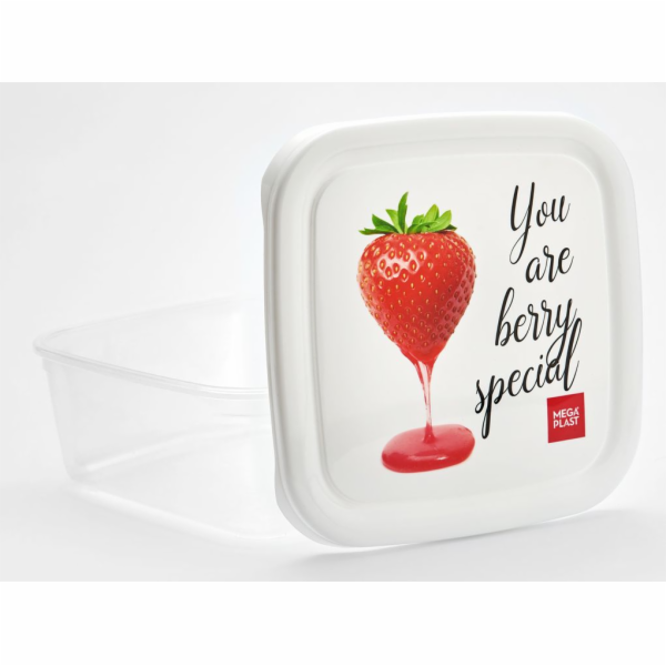 Box jídelní 1 l s potiskem plast