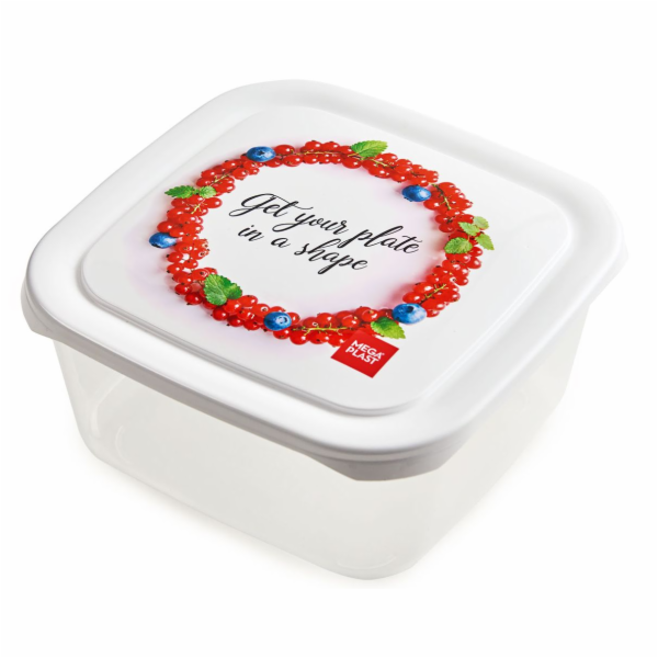Box jídelní 2 l s potiskem plast
