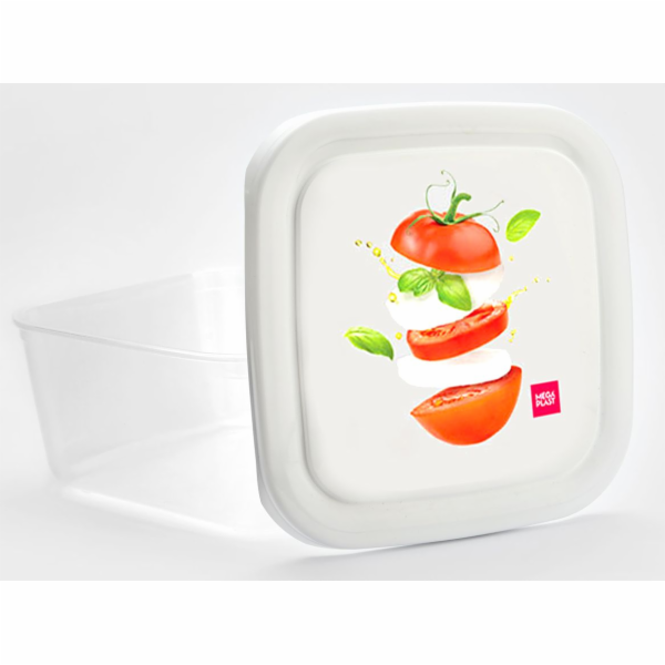 Box jídelní 3 l s potiskem plast