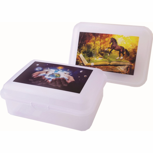 Box svačinový 18x13x7cm s potiskem
