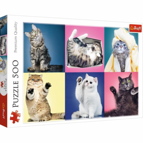 Puzzle koťata 500 prvků