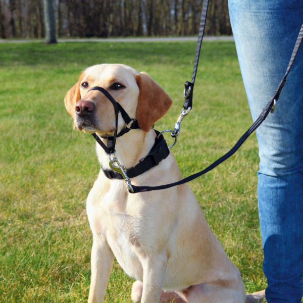 Trixie Top Trainer Harness - M 27cm