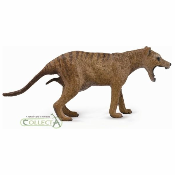 Figurka Collecta Thylacine – tasmánská, žena (004-88767)
