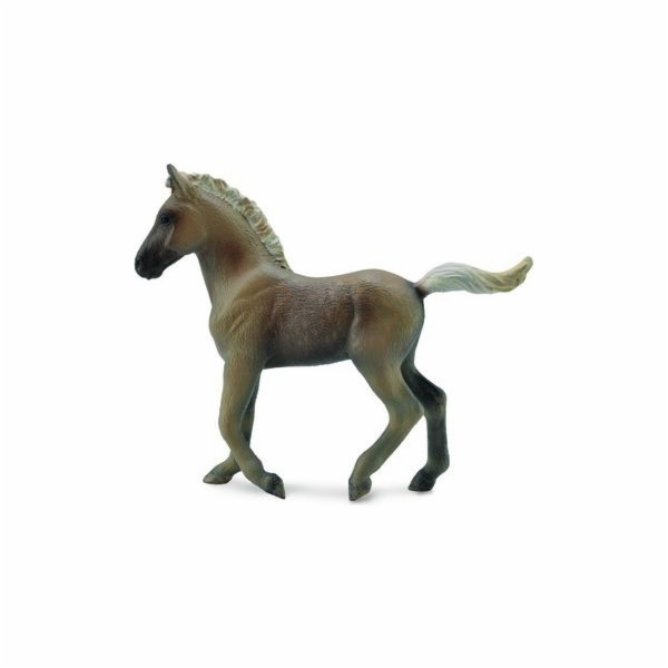 Collecta figurka Rocky Mountain Foal (COLL0509)