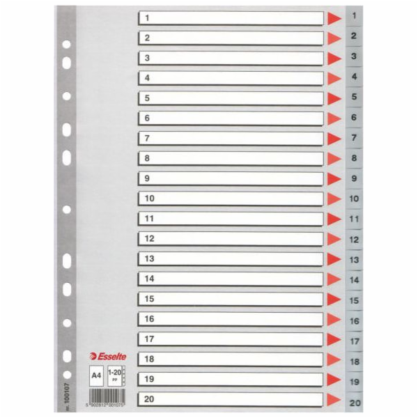 Spacery Esselte pro A4 PP Grey Binder (10K154D)