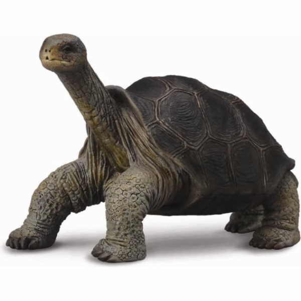 Collecta Turtle Collecta Figurine z ostrova Pinta (004-88...