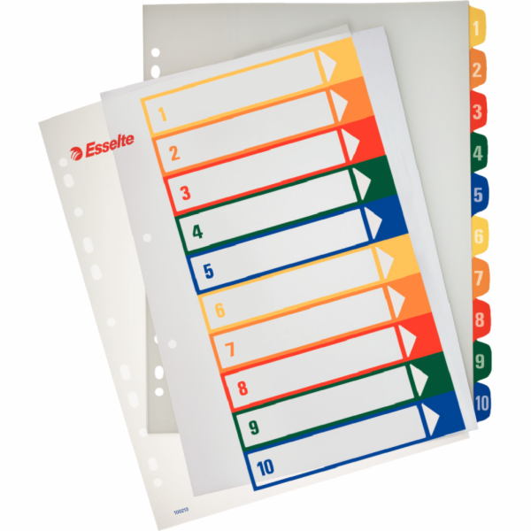Esselte lepenky pro tisk A4 1-10 (100213)