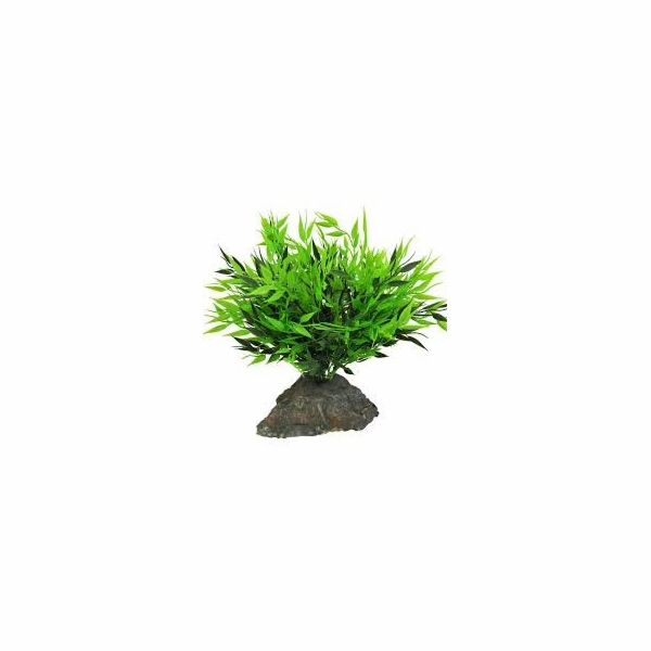 Lucky Reptile Bamboo Tufts cca 25 cm