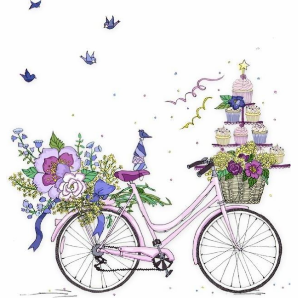 Clear Create Swarovski Karnet Bike (CL2415)