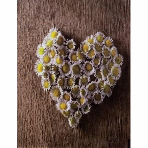 Fandy Photoalbum Pocket Wooded Brownie