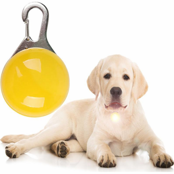 LED LED LED LED LED pro psí límec, kočičí přívěsek