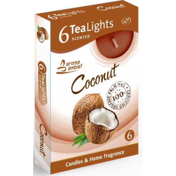 Svíčka čajová 6 ks Coconut