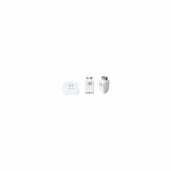 Tesla Smart Bundle Basic 2 (2x Valve + Hub)
