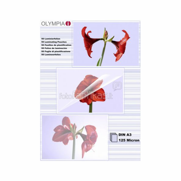 1x50 Olympia Lamin. folie DIN A3 125 micron           9175