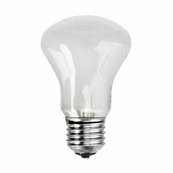 Elinchrom zarovka 196V/100W E 27