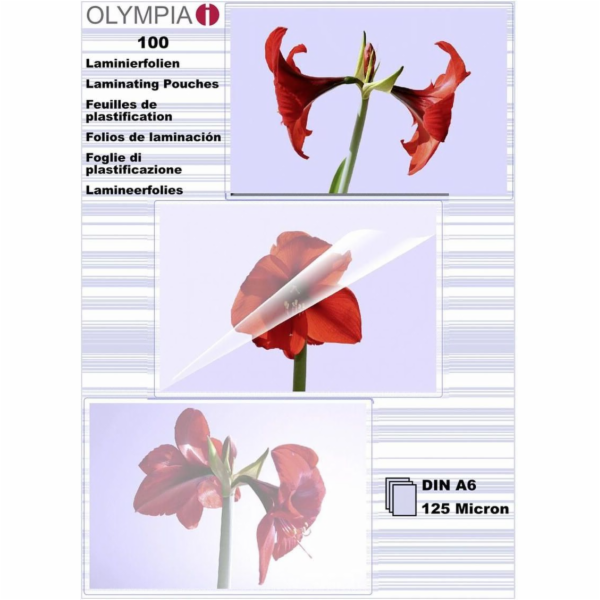 1x100 Olympia Lamin. folie DIN A6 125 micron           9178