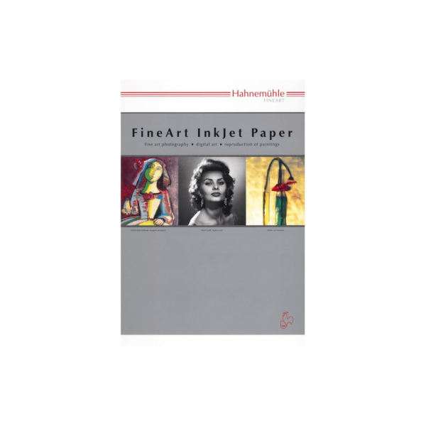 Hahnemühle Photo Rag weiß    A 2 308 g, 25 Blatt