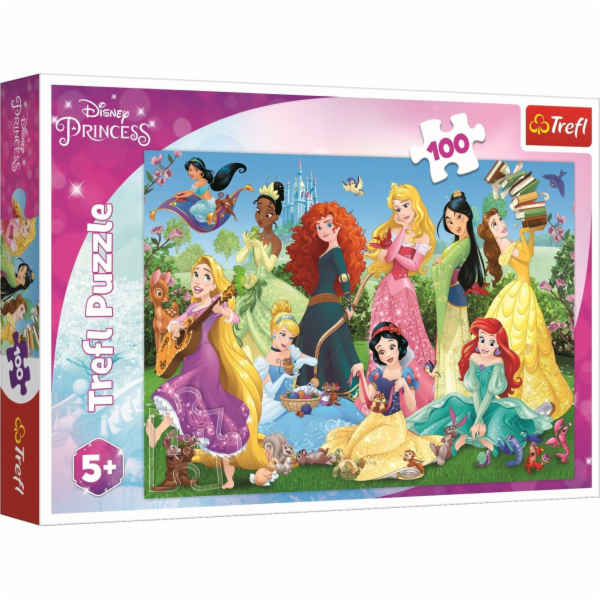 Puzzle 100 dílků Okouzlující princezny