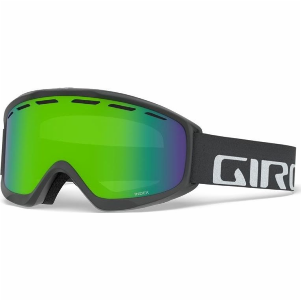 Giro Winter Goggles Giro Index Titanium Wordmark (Loden G...