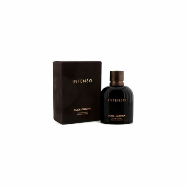 Dolce & Gabbana Intenso Pour Homme EDP 125 ml
