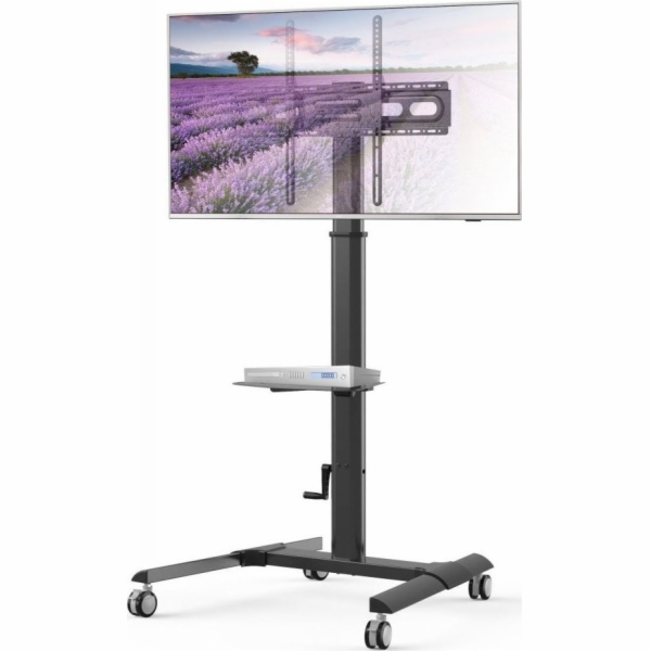 Techly podlahový stojan pro monitor 32 - 70 (ICA-TR228)