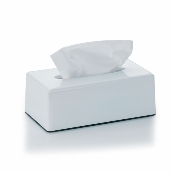 Kosmetický box na kapesníky PANNO plast, bílý KL-22347