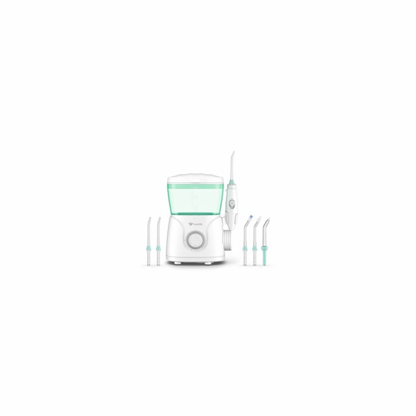 TrueLife AquaFloss Station S600