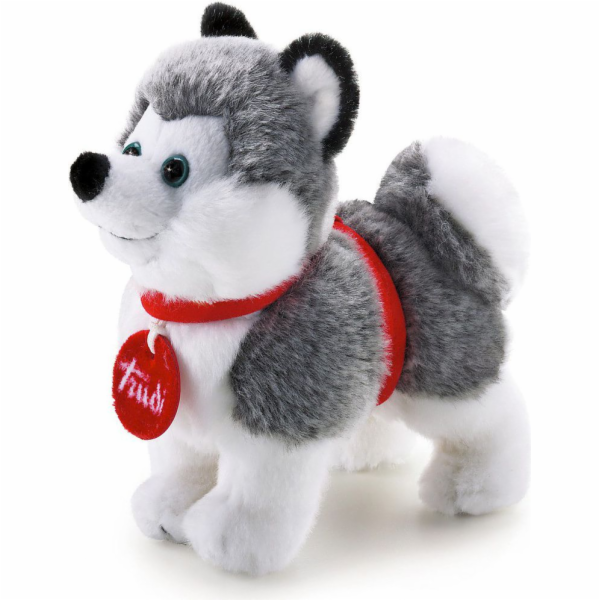 Trudi Plusz Husky