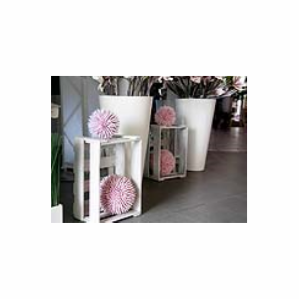 Sukulent koule (EVA), růžový, 20 cm