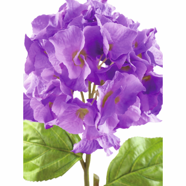Hortenzie větvička levandulová, 76 cm