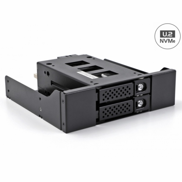 Delock Mobilní přihrádka s úzkou zásuvkou pro 2 x SSD NVM...