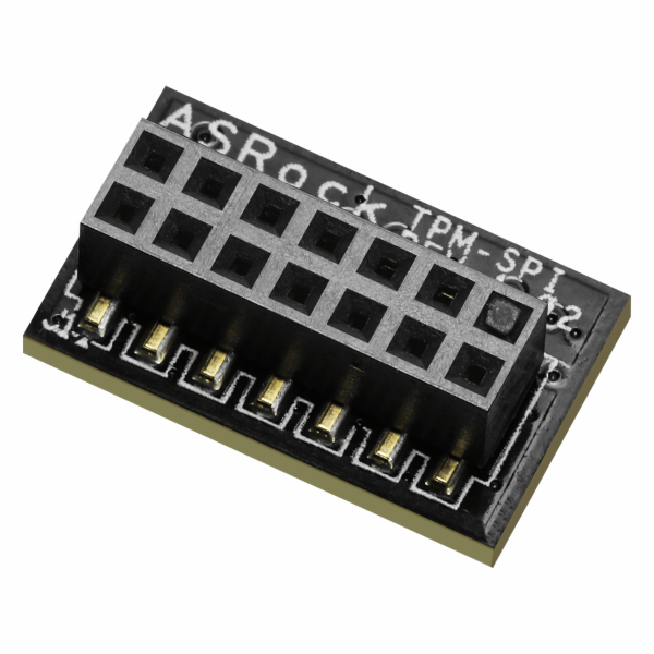 ASRock TPM-SPI
