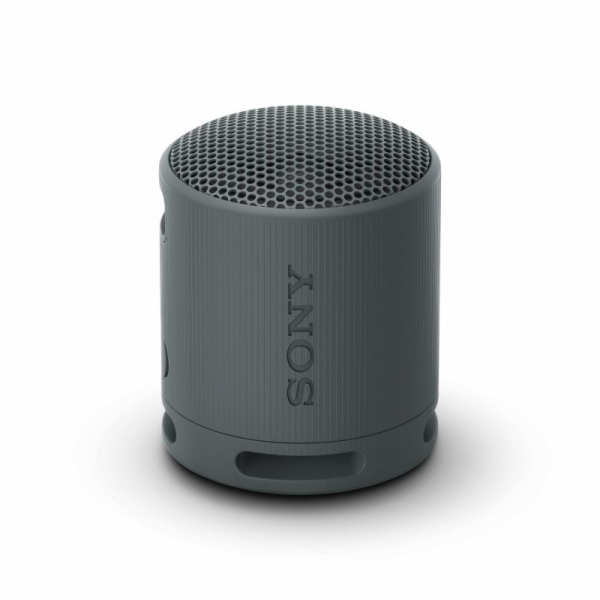 SONY SRS-XB100B