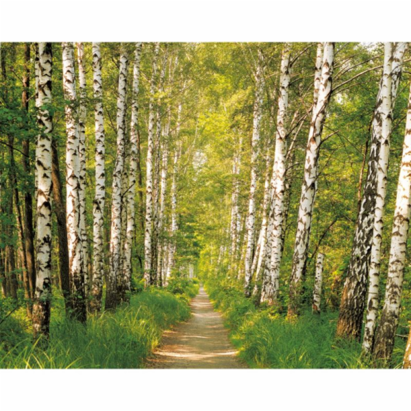 Tapeta Sunny dekor Birkenwald, 98301, 368 x 254 cm