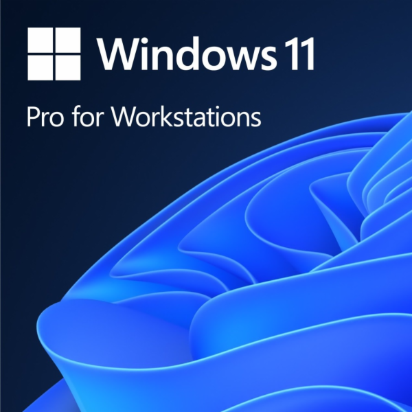Microsoft OEM Win Pro pro Wrkstns 11 PL x64 HZV-00117 Nah...