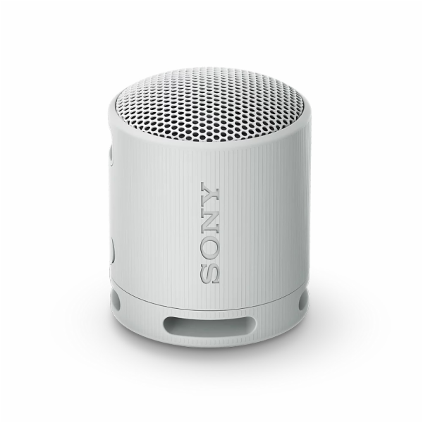 SONY SRS-XB100H