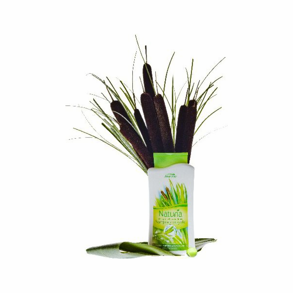 Joanna Naturia Calamus vlasový šampon 2v1 500 ml