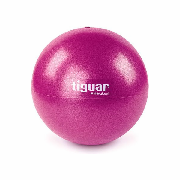 Cvičební míč Tiguar Easyball 25 cm švestka