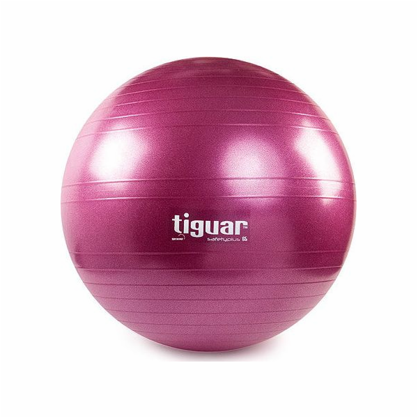 Cvičební míč Tiguar Body Ball Safety Plus 65cm fialový