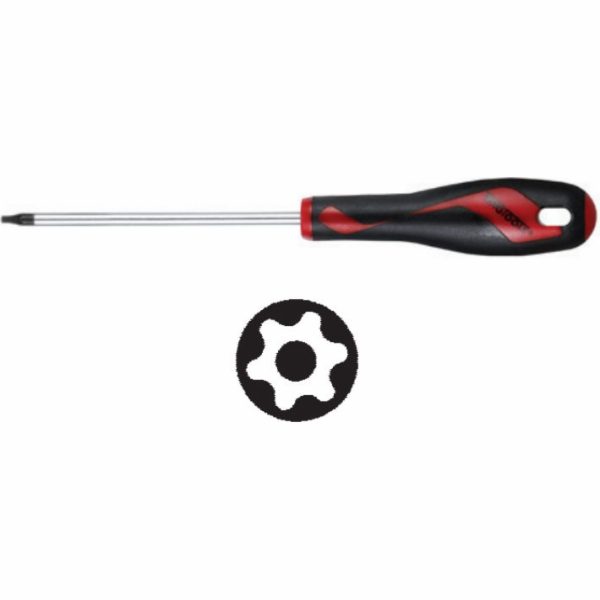 Teng Tools TPX šroubovák s otvorem T20 x 100 mm (177800307)